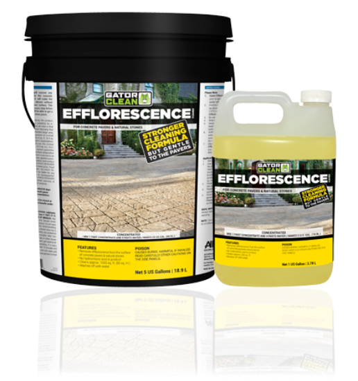 Picture of CLEANER, EFFLORESCENCE 1 Gal